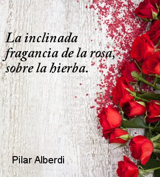 Rosa